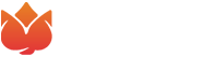 PLay Bro Logo