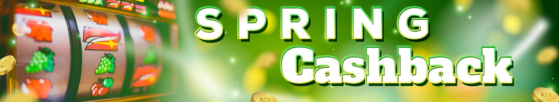 spring-cashback Banner 